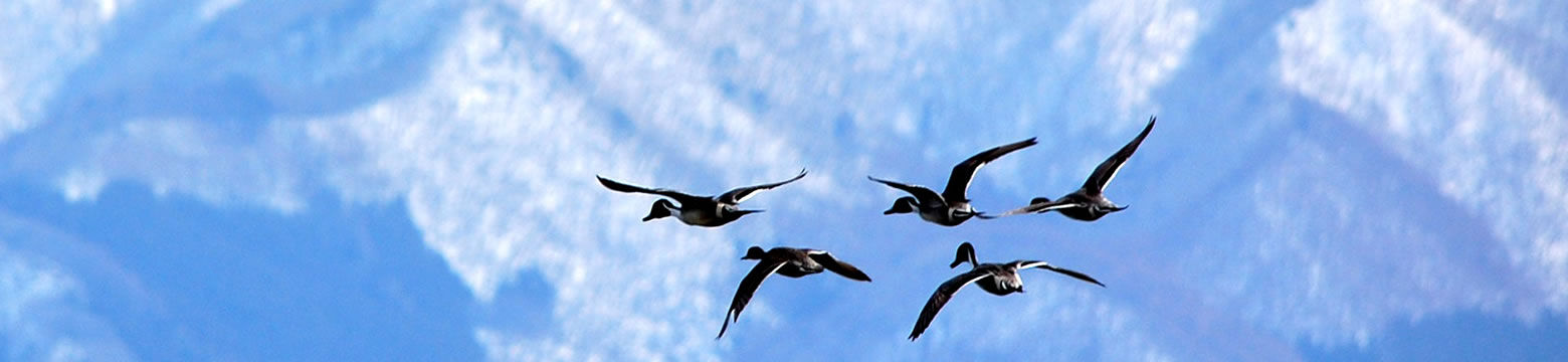 株式会社f-connect