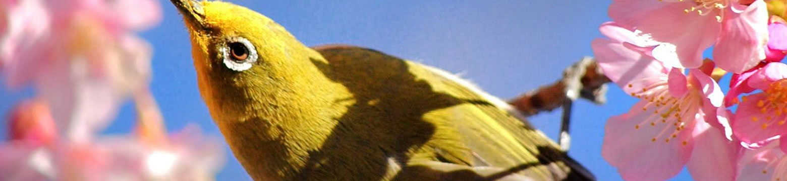 株式会社f-connect