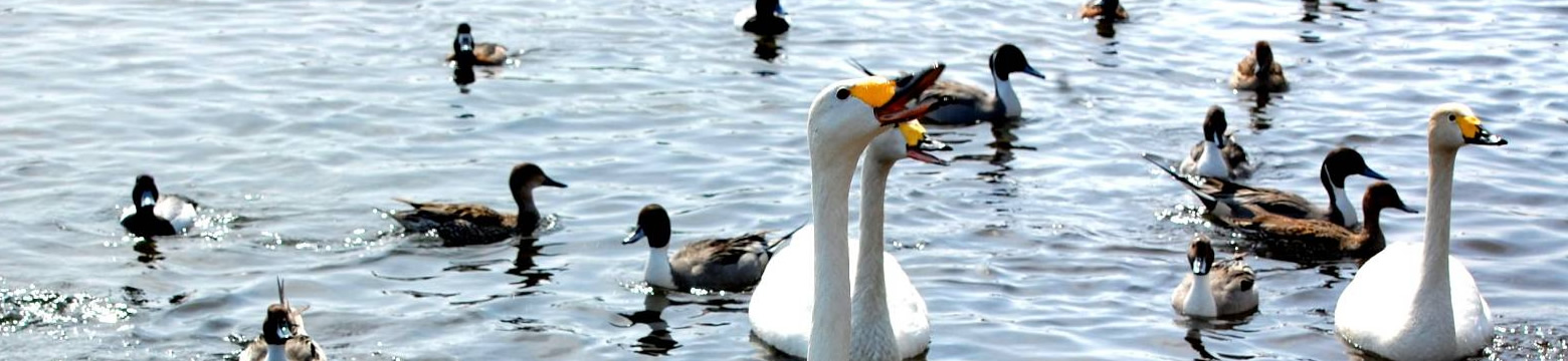 株式会社f-connect