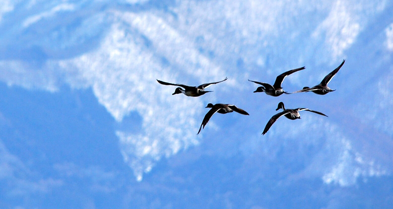 slider03 株式会社f-connect